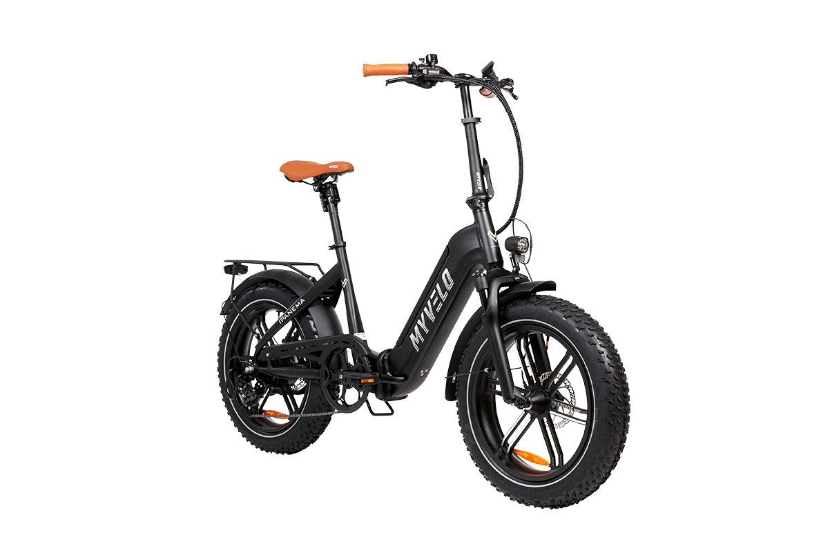 myvelo_ipanema.png