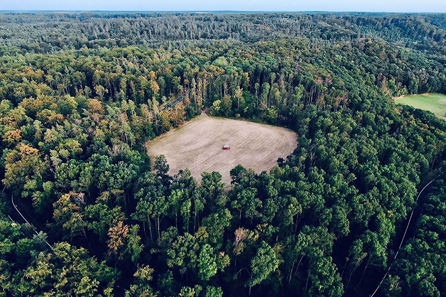 Ein Campervan auf einer Lichtung umgeben von Wald