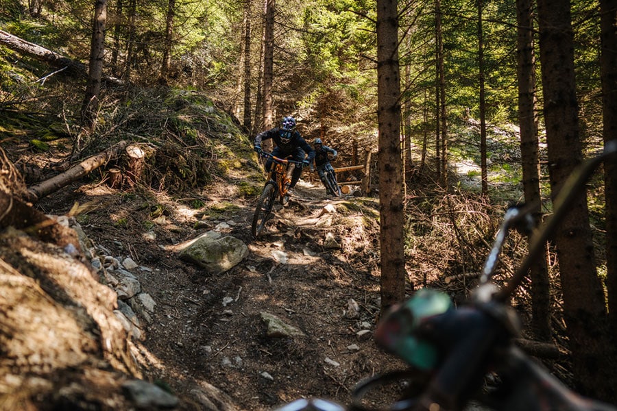 Mountainbiker auf felsigem Waldtrail
