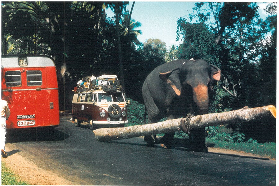 Ein Elefant transportiert einen großen Baumstamm mit dem Rüssel, hinter ihm fährt rot-weißer VW-Bulli mit vollbeladenem Dachgepäckträger