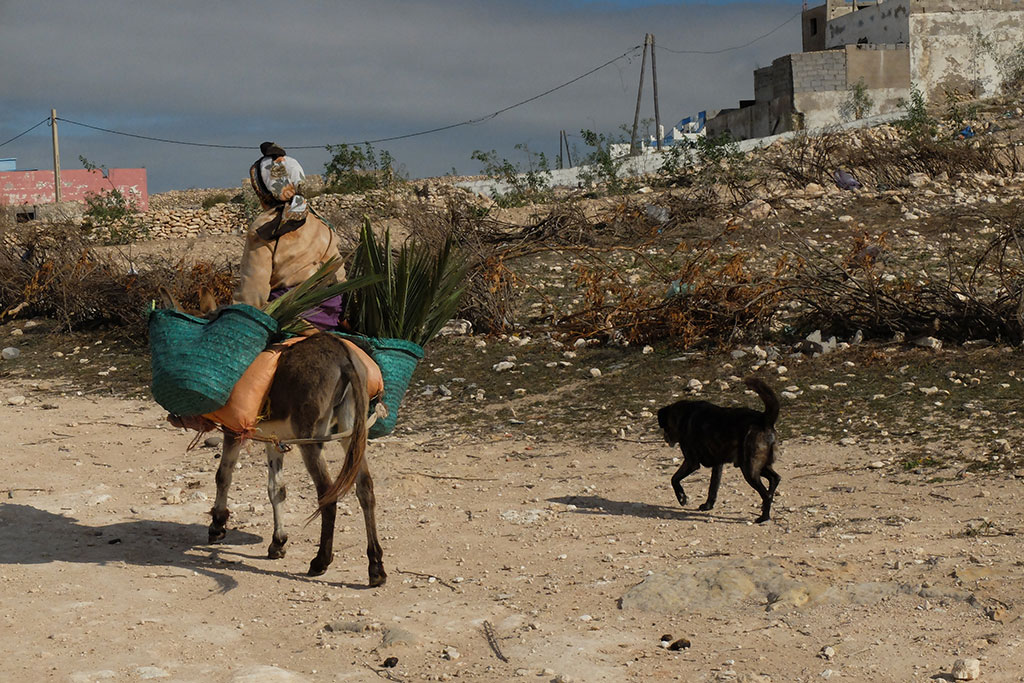 Mann auf einem Esel in karger Wüstenlandschaft