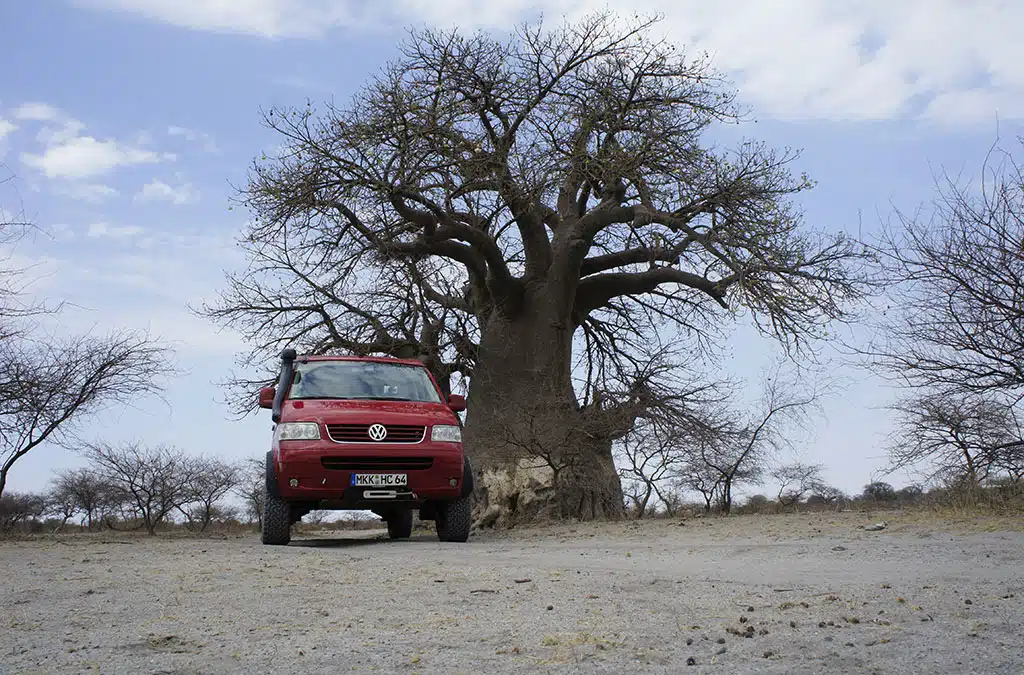 Roter VW T5 in karger Landschaft neben einem großen Baum