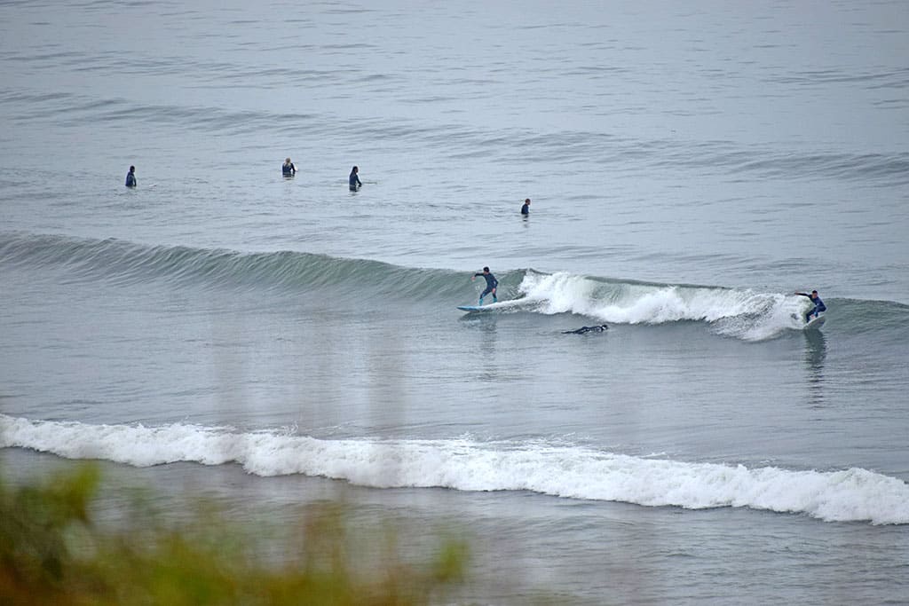 Wellenreiter im Meer