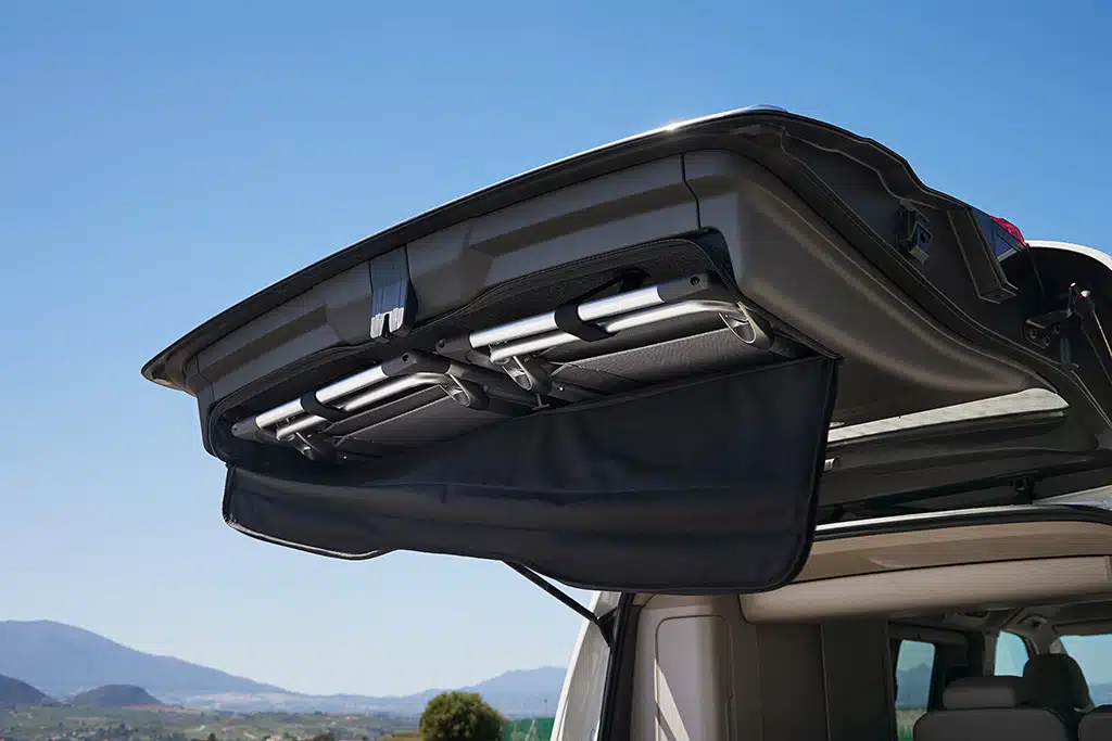 VW New California Ocean T7 2024