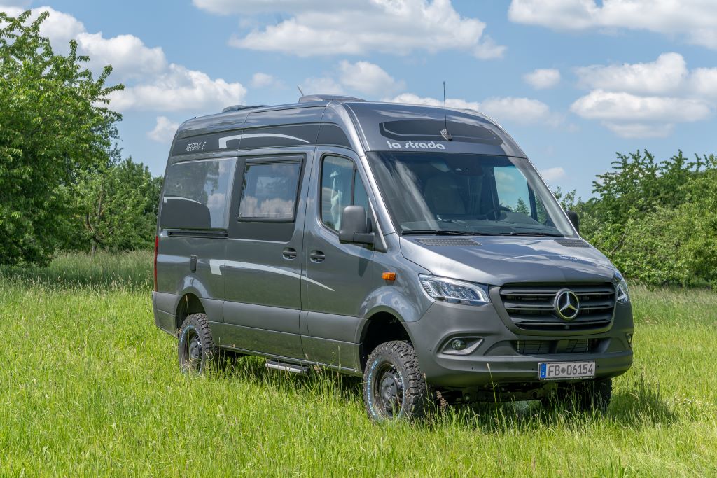 Silbergrauer Mercedes-Kastenwagen auf einer sommerlichen Wiese