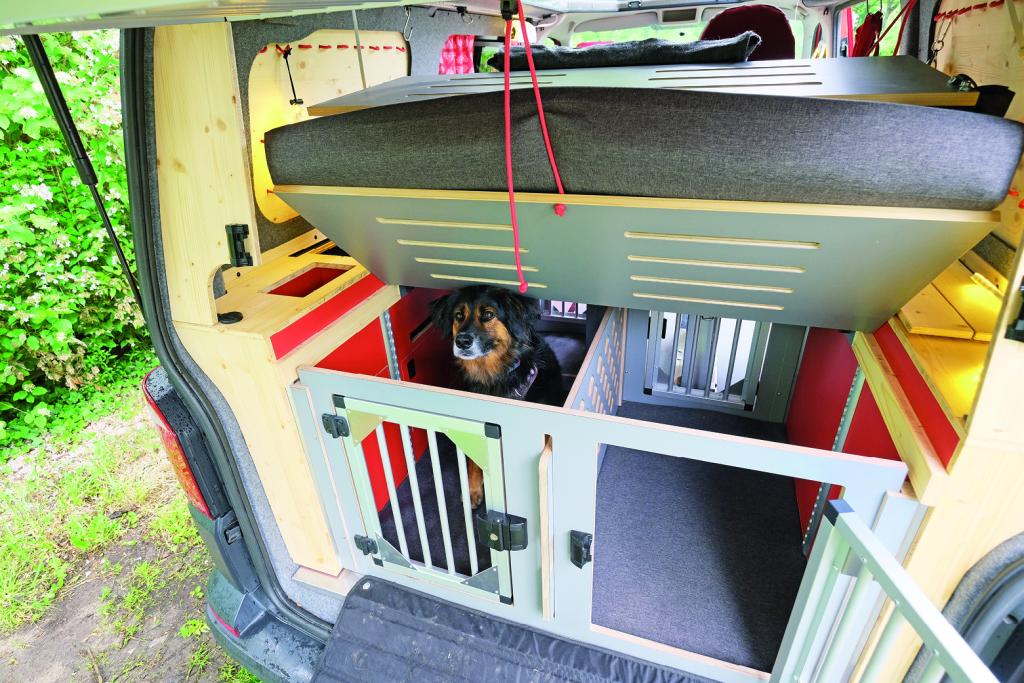 Ein brauner Hund in einer nach oben geöffneten Hundebox im Heck eines Campingbusses, über der Box befindet sich das aufgerichtet arretierte Bettgestell
