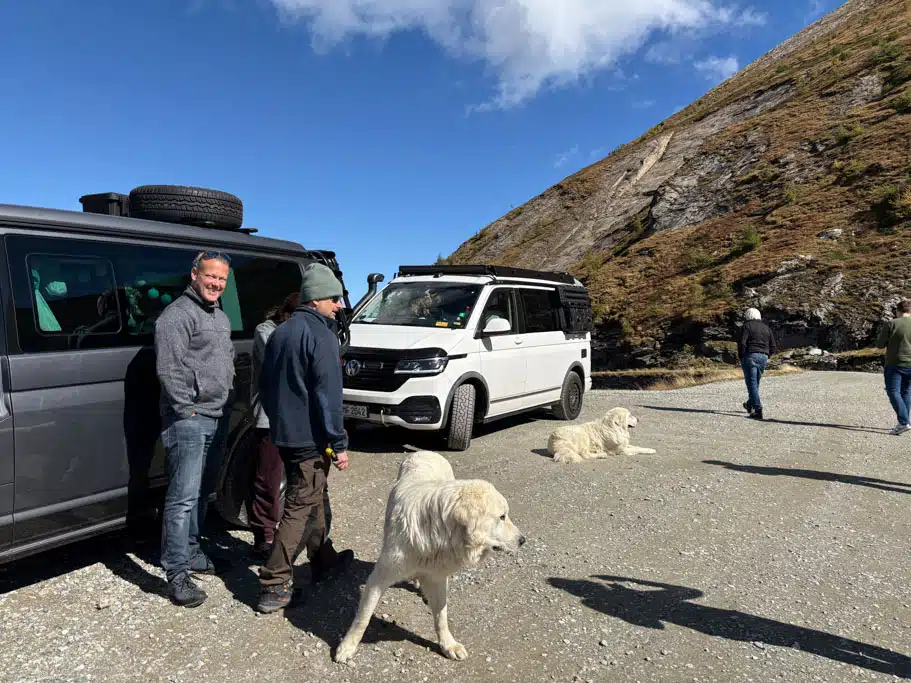 Zwei Hunde, vier Personen und zwei Campingbusse auf einem Parkplatz in den Bergen