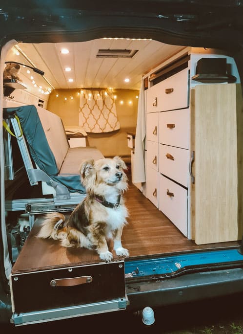Heck eines Campervans mit Hund