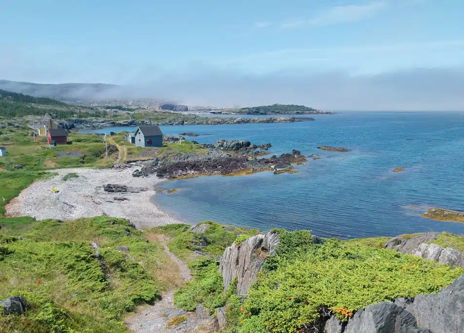 Newfoundland
