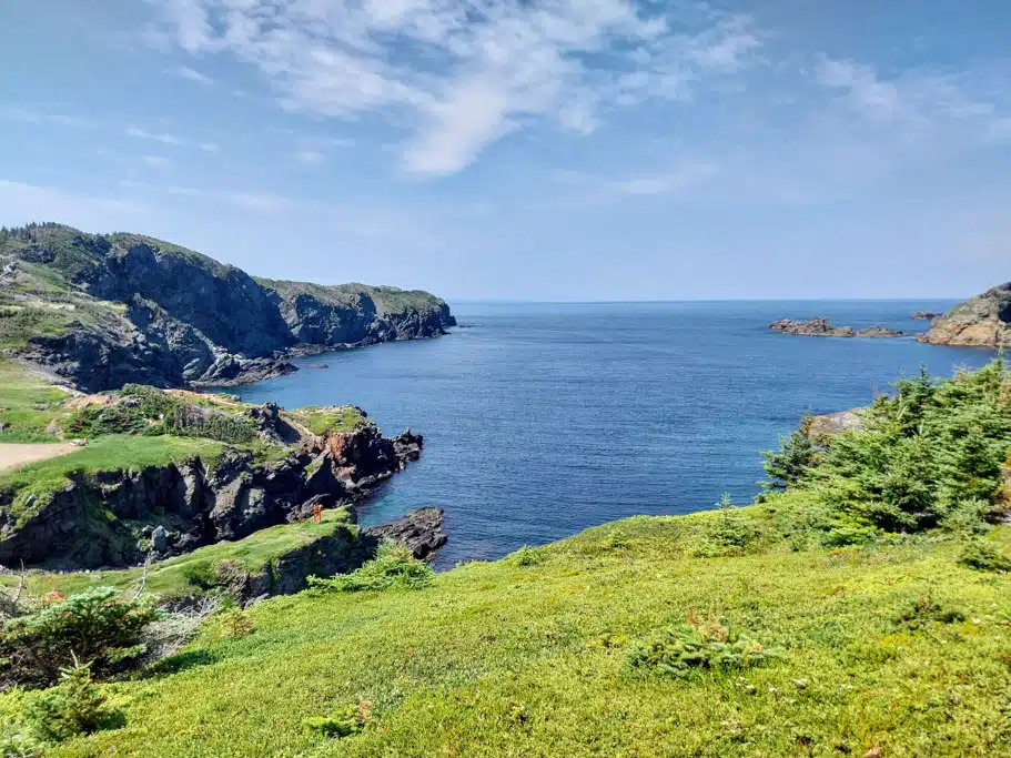 Newfoundland