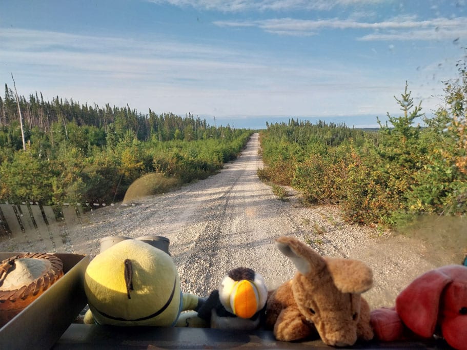 Weg durch Kanadische Landschaft