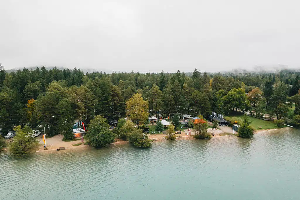 Seeufer und Bäume im Herbst